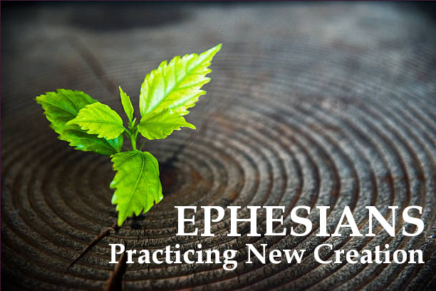 A Place Where God Will Live